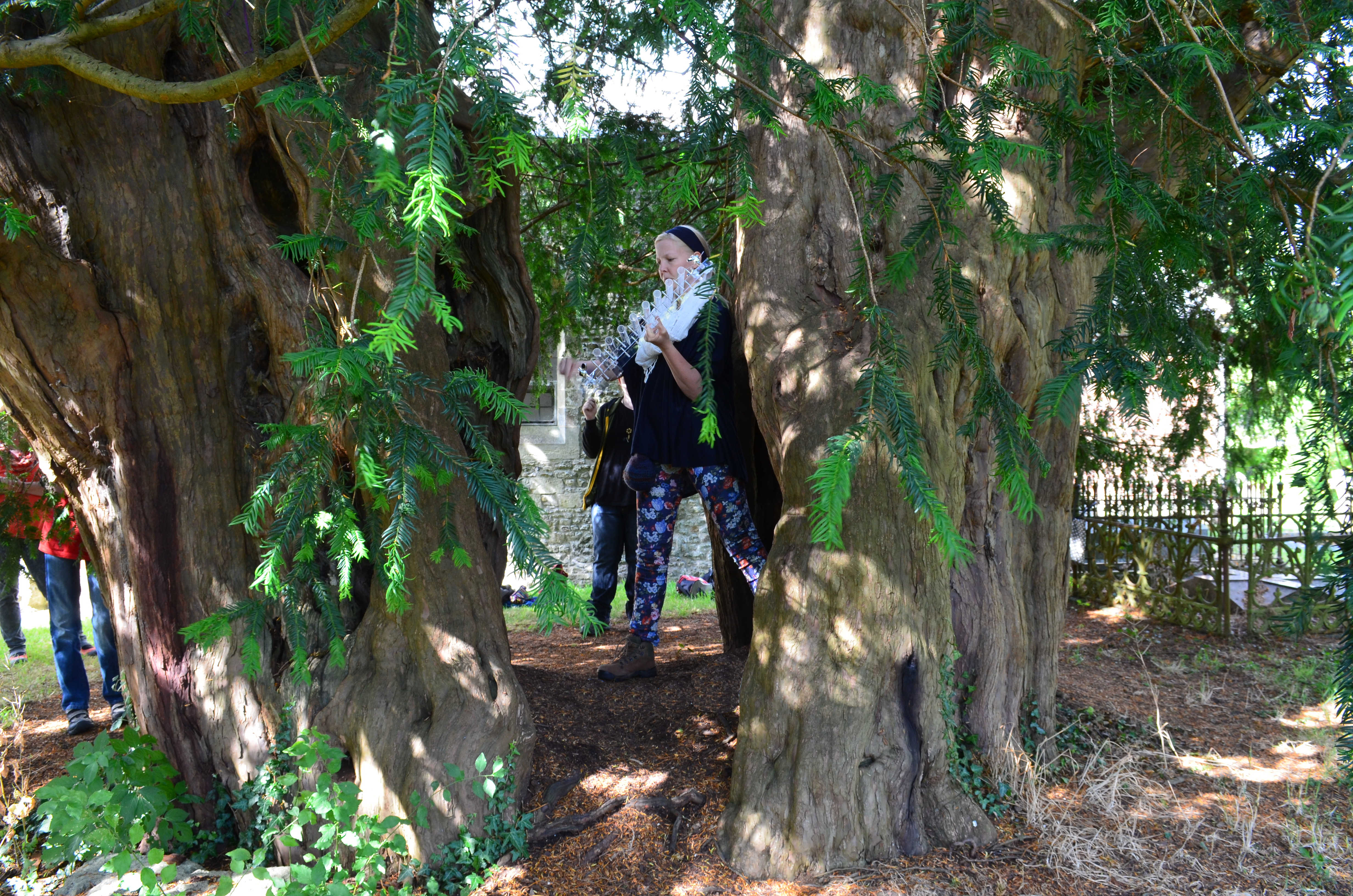 Fee mit Kristallharfe im Yew Tree, Alton Priors, Wilts, UK